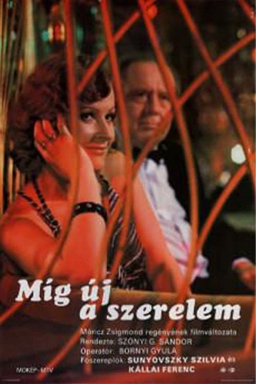 Poster for Míg új a szerelem