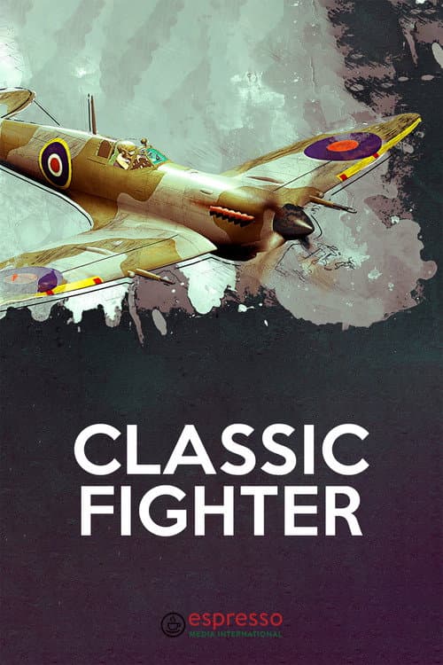 Poster for Classic Fighter