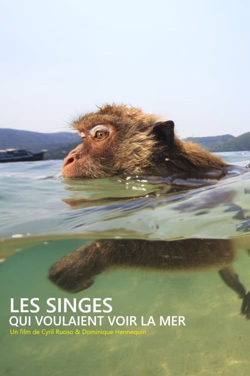 Постер до фільму «Les singes qui voulaient voir la mer»