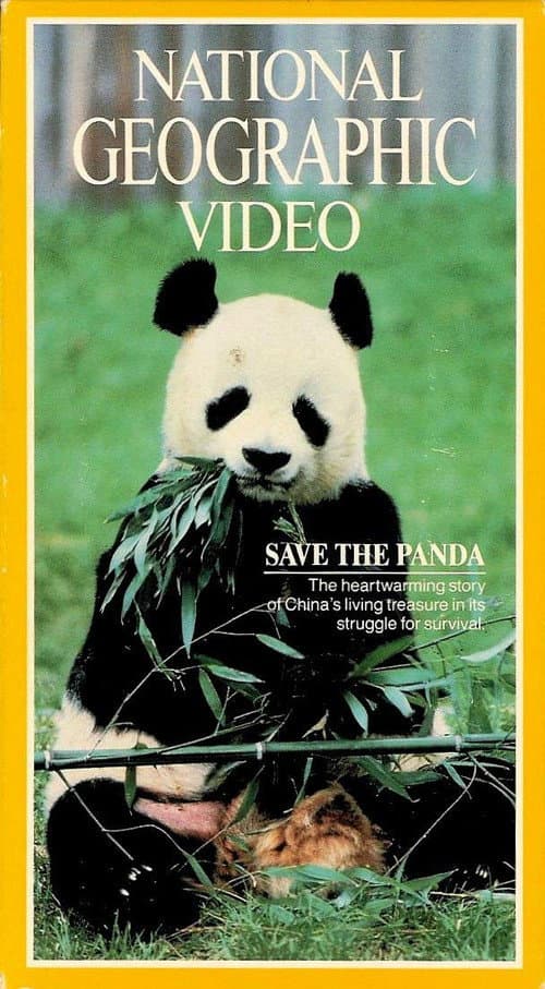 Poster for Save the Panda