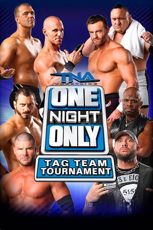Poster for TNA One Night Only: Tag Team Tournament 2014