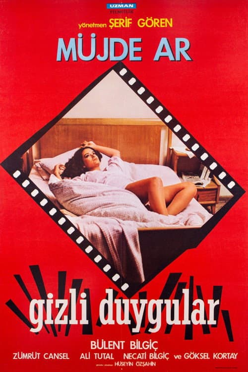 Poster for Secret Intentions