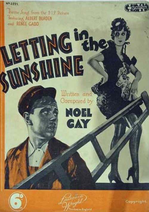 Poster for Letting in the Sunshine