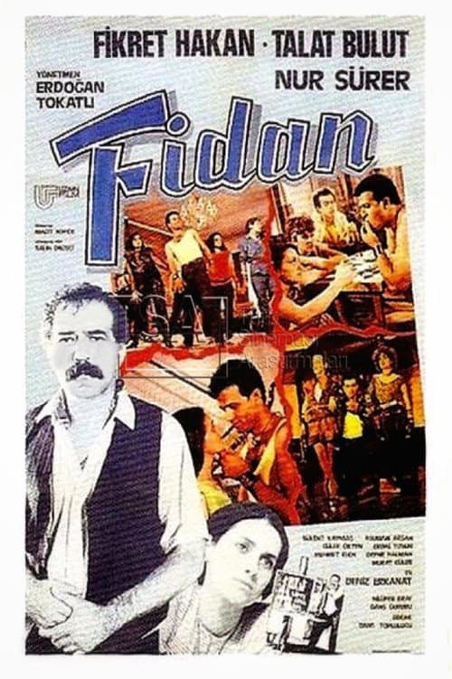 Poster for Fidan