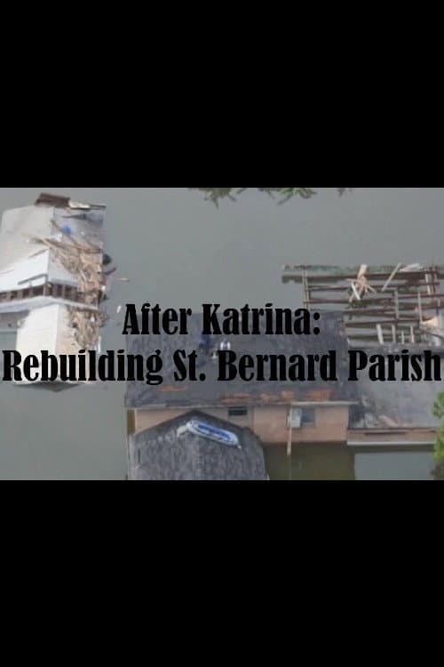 Poster for After Katrina: Rebuilding St. Bernard Parish