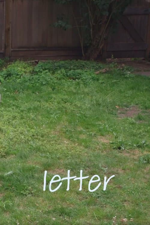 Poster for Letter