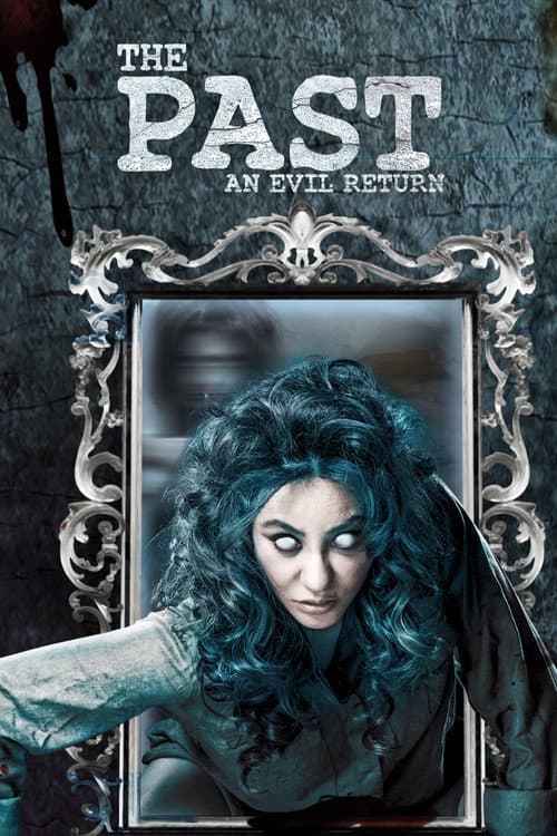Poster for The Past