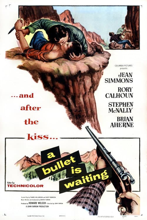 Poster for A Bullet Is Waiting