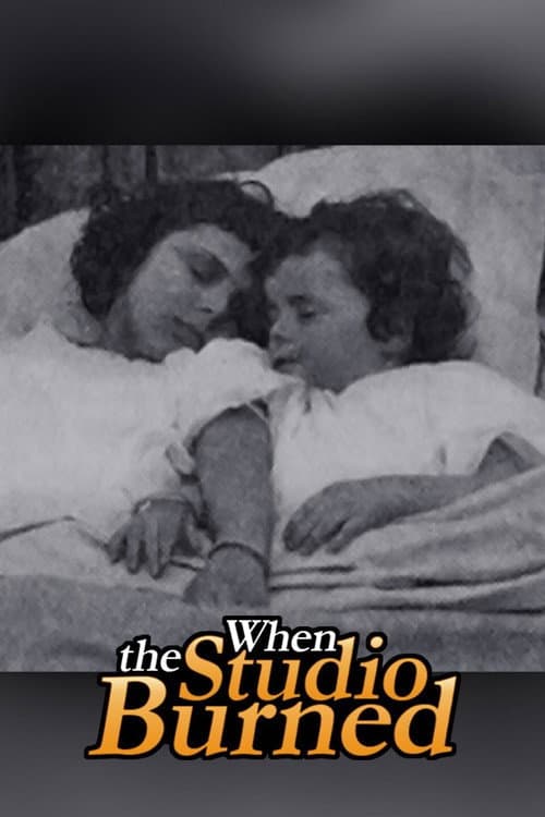 Poster for When the Studio Burned