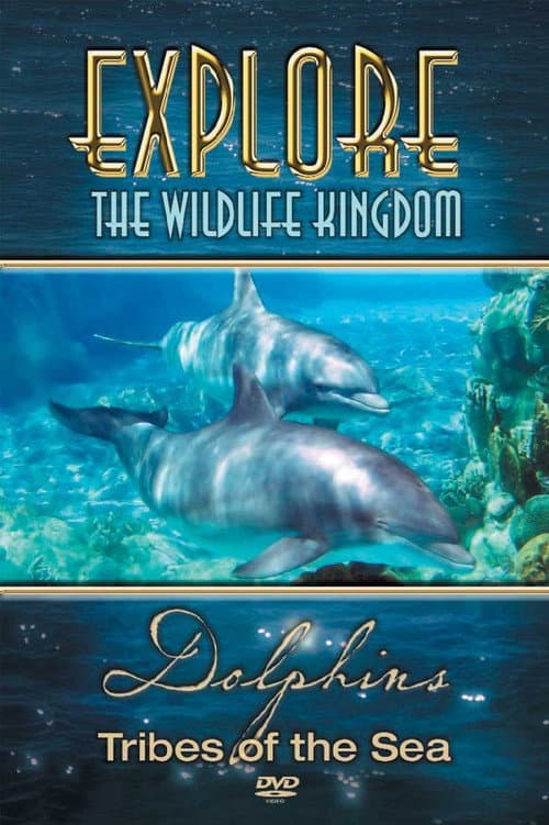 Poster for Explore the Wildlife Kingdom: Dolphins - Tribes of the Sea