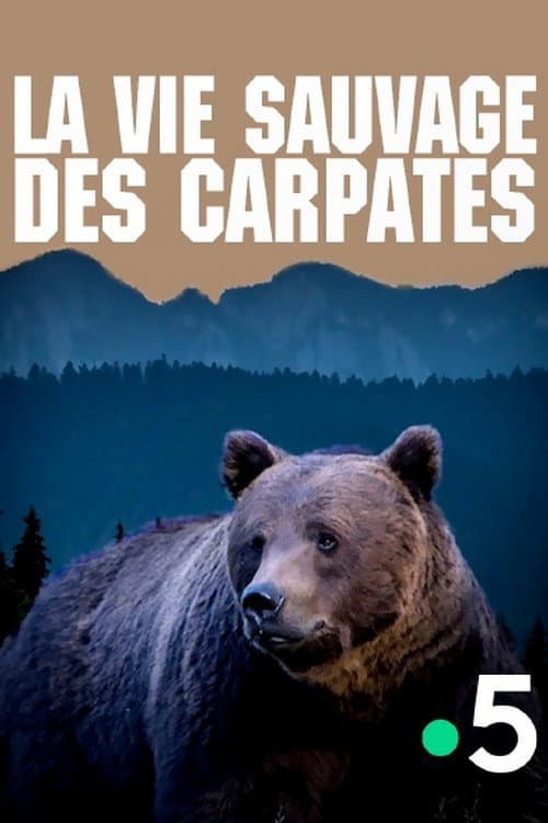 Poster for La vie sauvage des Carpates