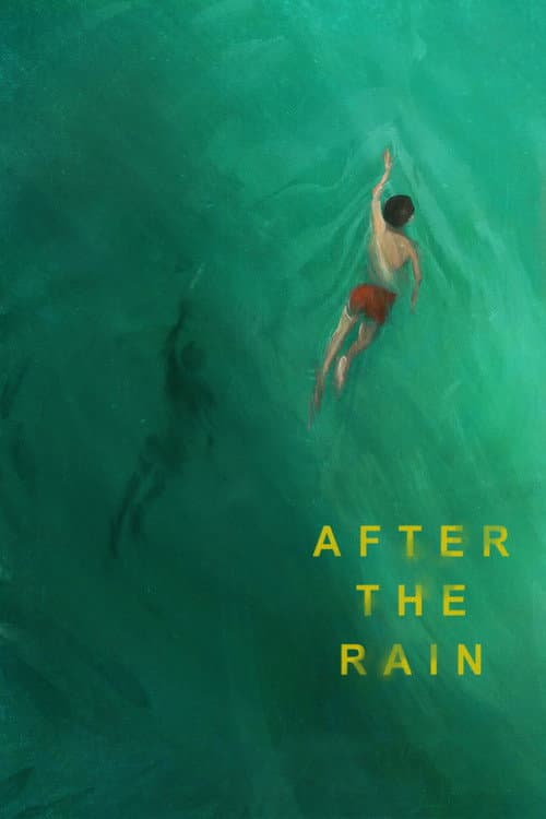 Poster for After the Rain