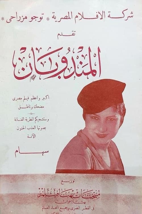 Poster for The Two Representatives