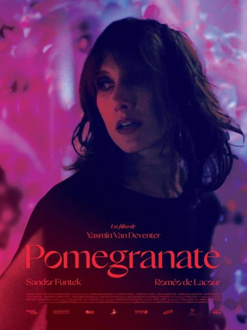 Poster for Pomegranate