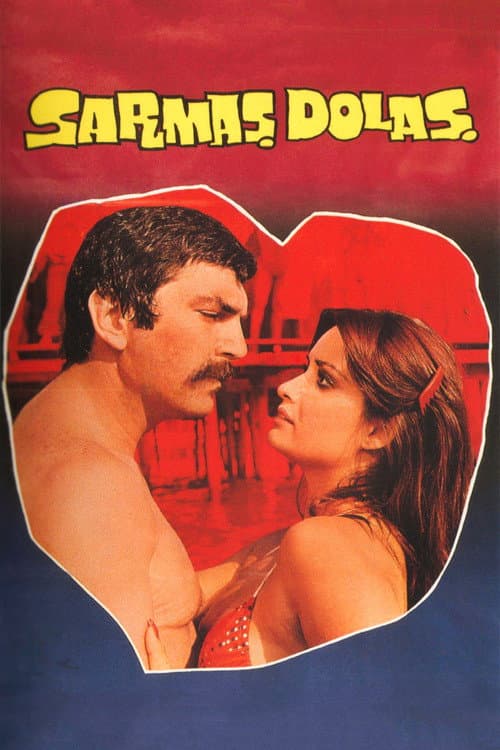 Poster for Sarmaş Dolaş
