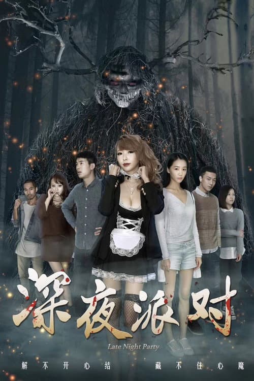 Poster for Late Night Party