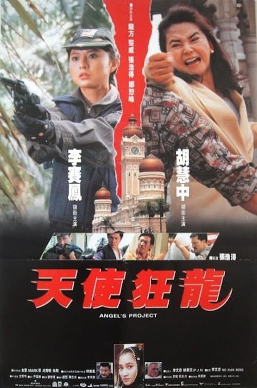 Poster for Angel's Project