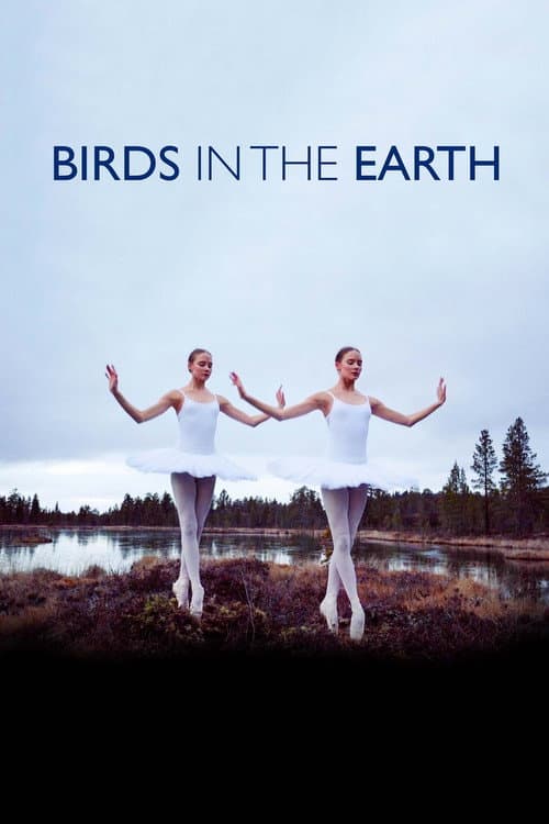 Poster for Birds in the Earth
