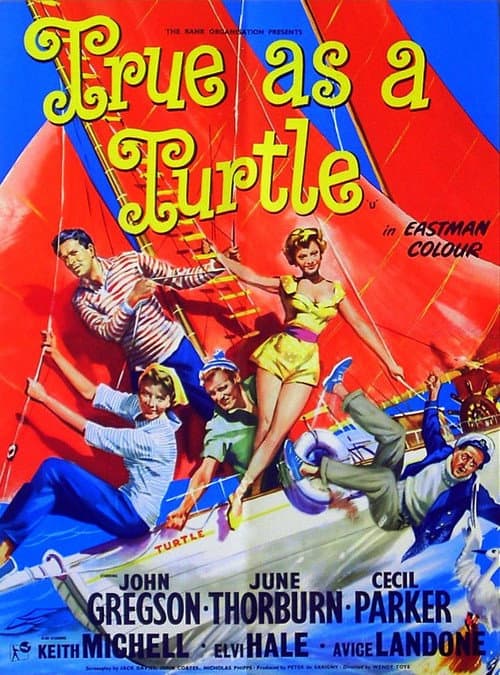 Poster for True as a Turtle