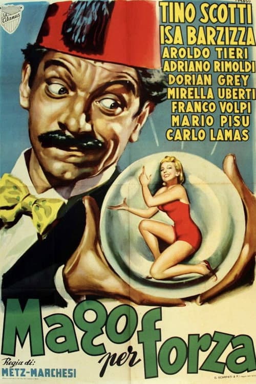 Poster for Il mago per forza