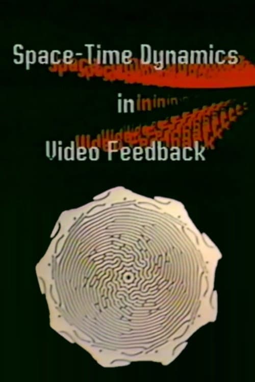 Poster for Space-Time Dynamics in Video-Feedback