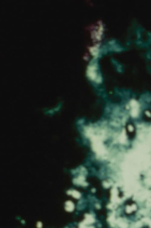Poster for Loud Visual Noises