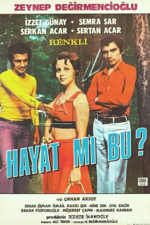 Poster for Hayat Mı Bu