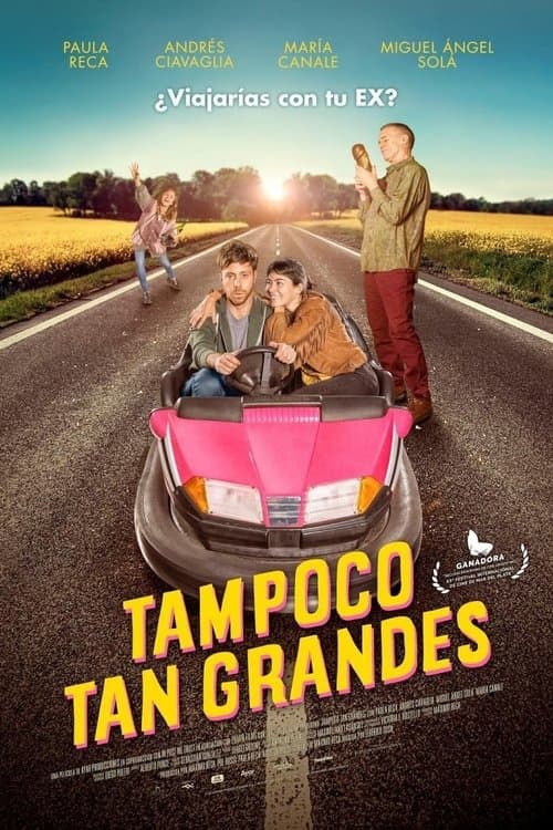 Poster for Not Quite Adults