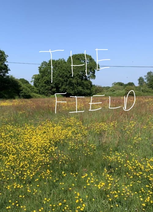 Poster for The Field