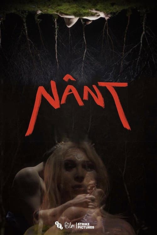 Poster for Nânt