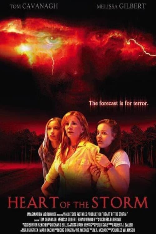Poster for Heart of the Storm