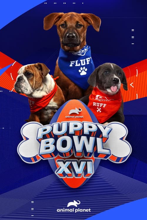 Poster for Puppy Bowl XVI