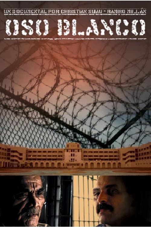 Poster for Oso Blanco