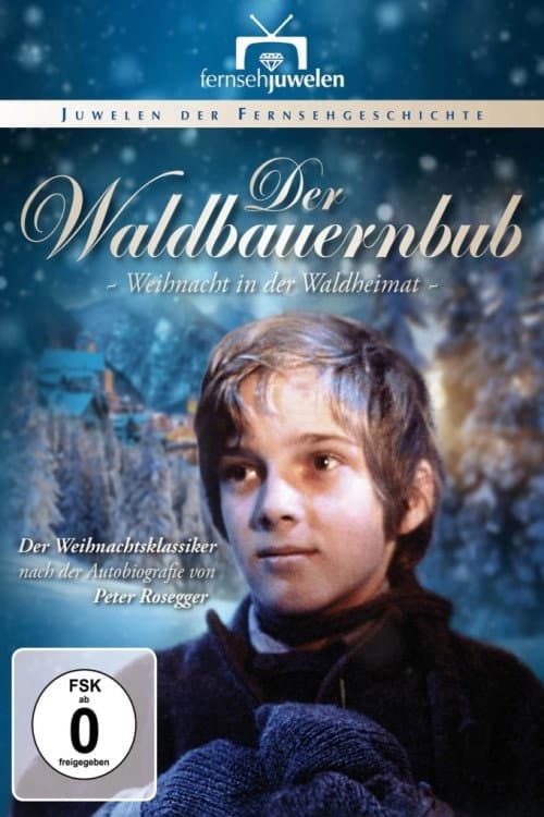 Постер до фільму «Der Waldbauernbub - Weihnacht in der Waldheimat»