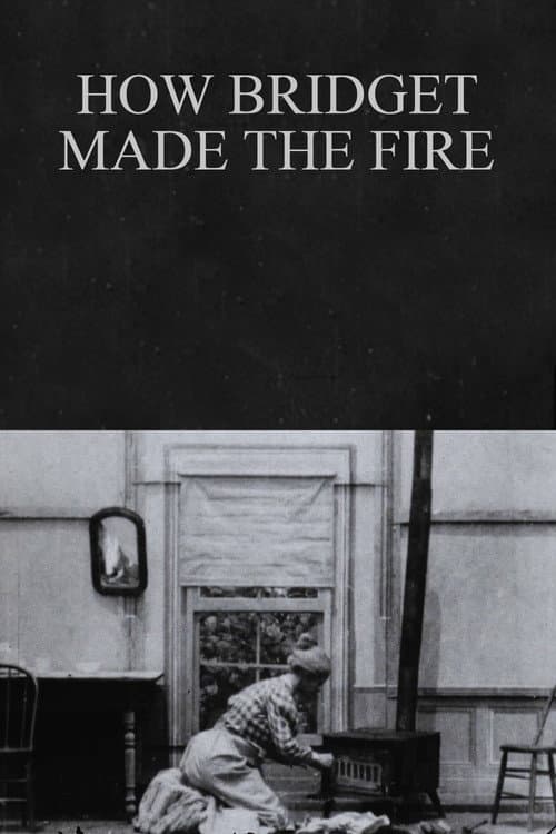 Poster for How Bridget Made the Fire