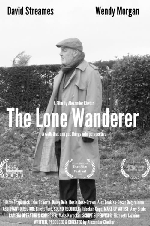 Poster for The Lone Wanderer