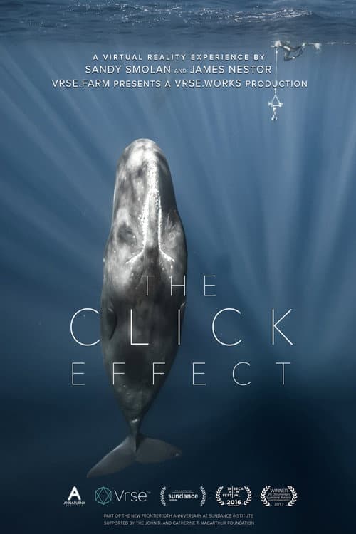 Poster for The Click Effect