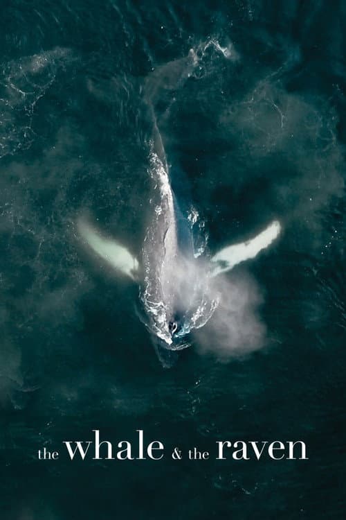 Poster for The Whale and the Raven