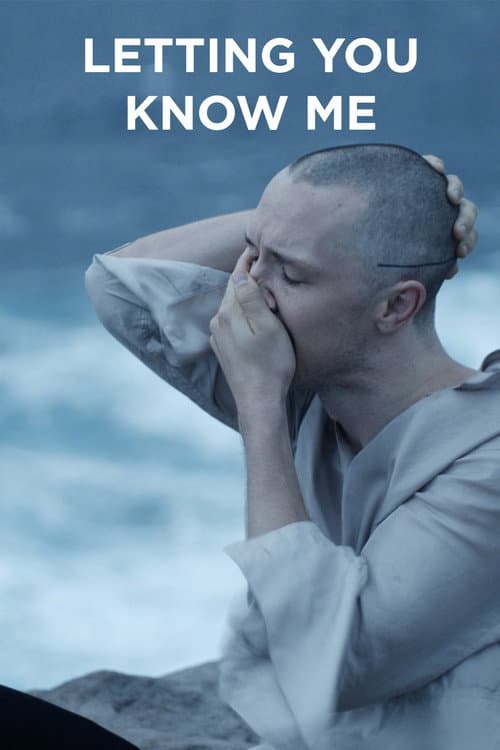 Poster for Letting You Know Me