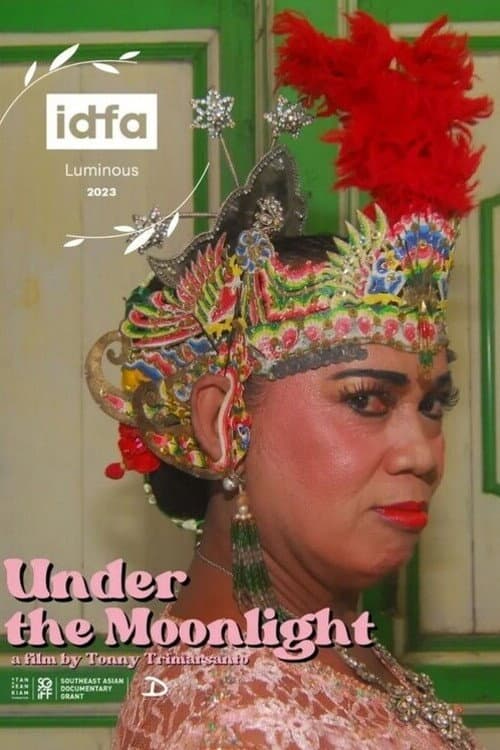 Poster for Under The Moonlight