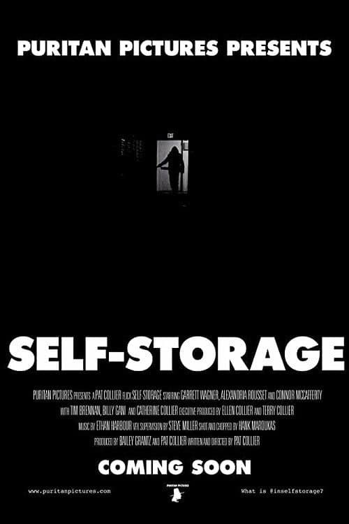 Poster for Self-Storage