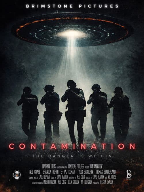 Poster for Contamination