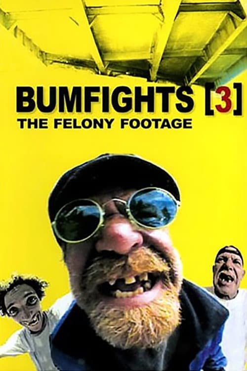 Poster for Bumfights Vol. 3: The Felony Footage