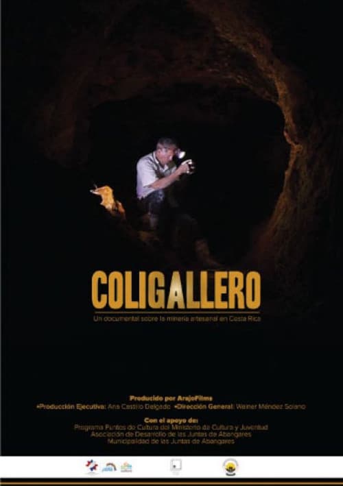 Poster for Coligallero