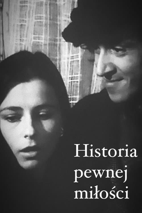 Poster for Random Love Story
