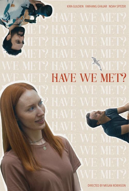 Poster for Have We Met?