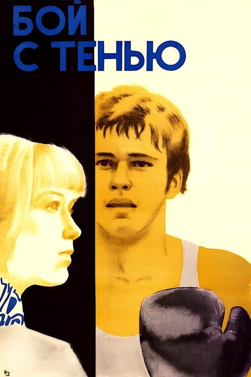Poster for Shadow Fight