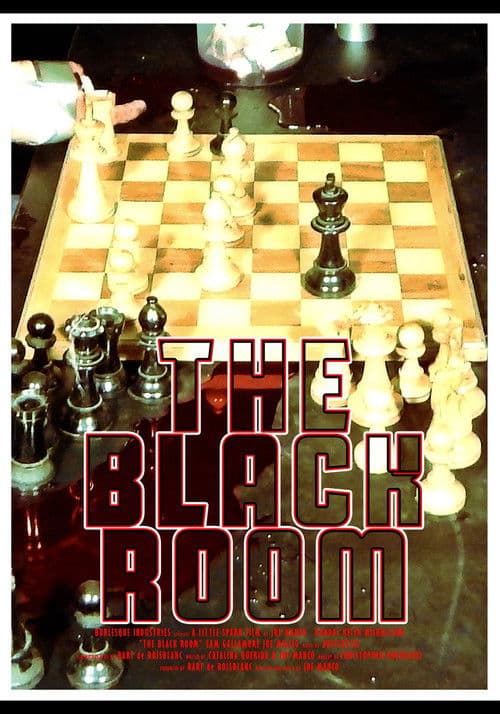 Poster for The Black Room