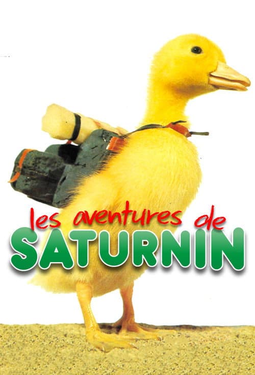 Poster for Les Aventures de Saturnin
