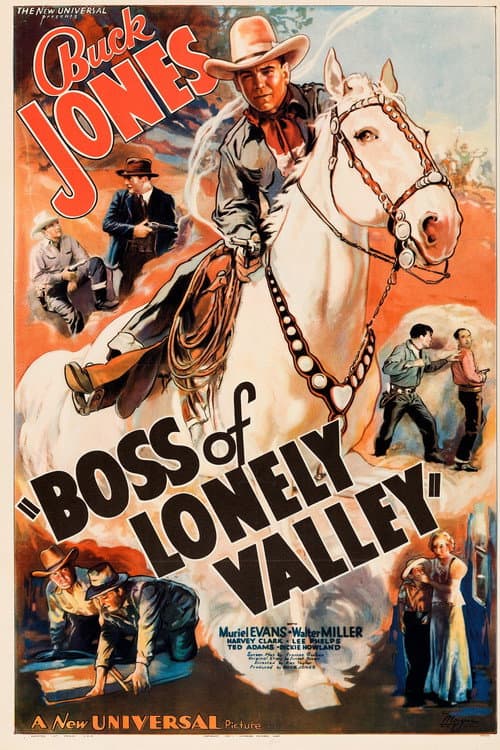 Poster for Boss of Lonely Valley